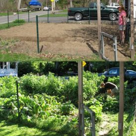 Grandma and Grandpa’s Farm Image